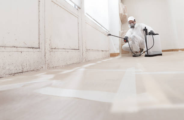 24/7 Emergency Attic Mold Remediation experts in Severance, CO
